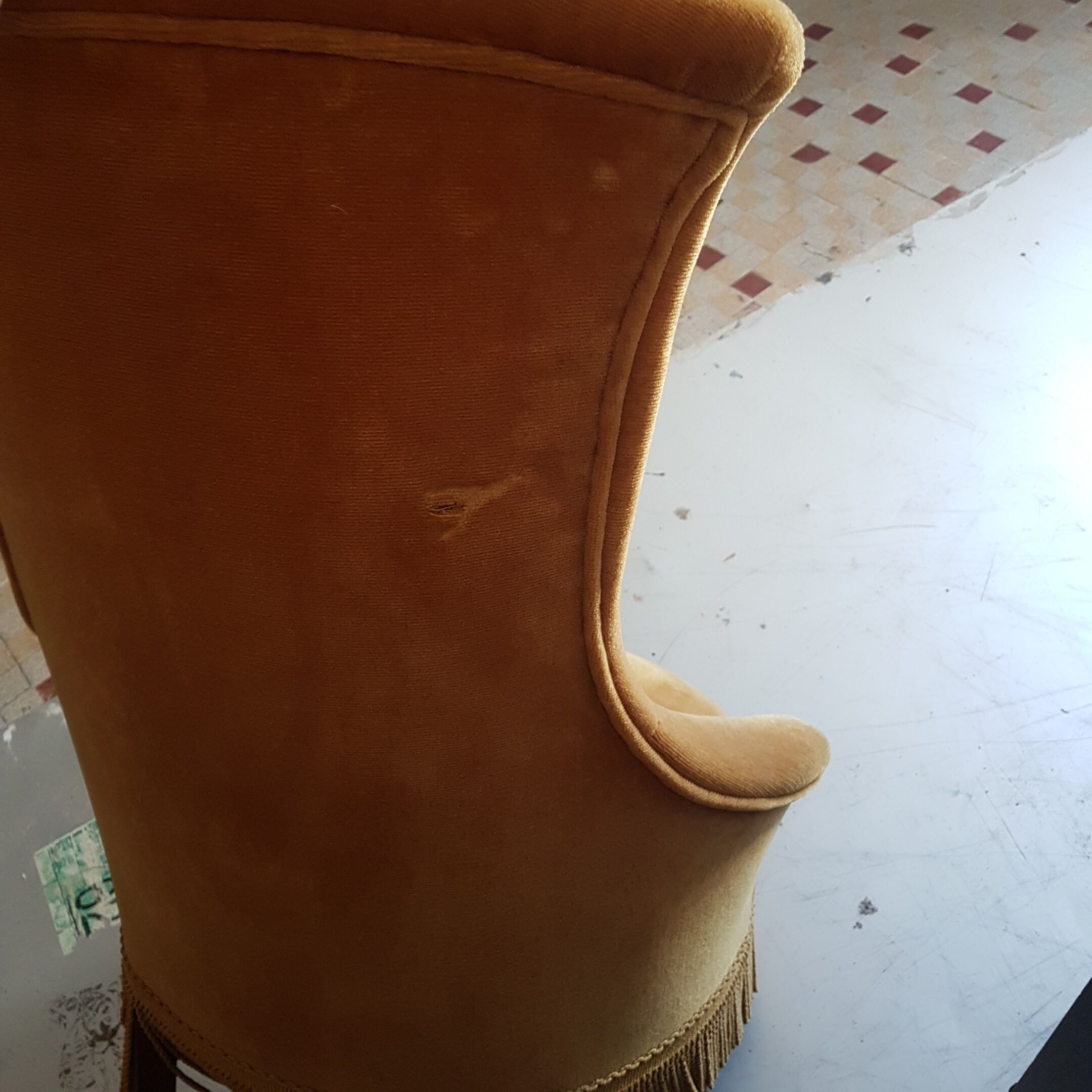 Golden fringed toad chair