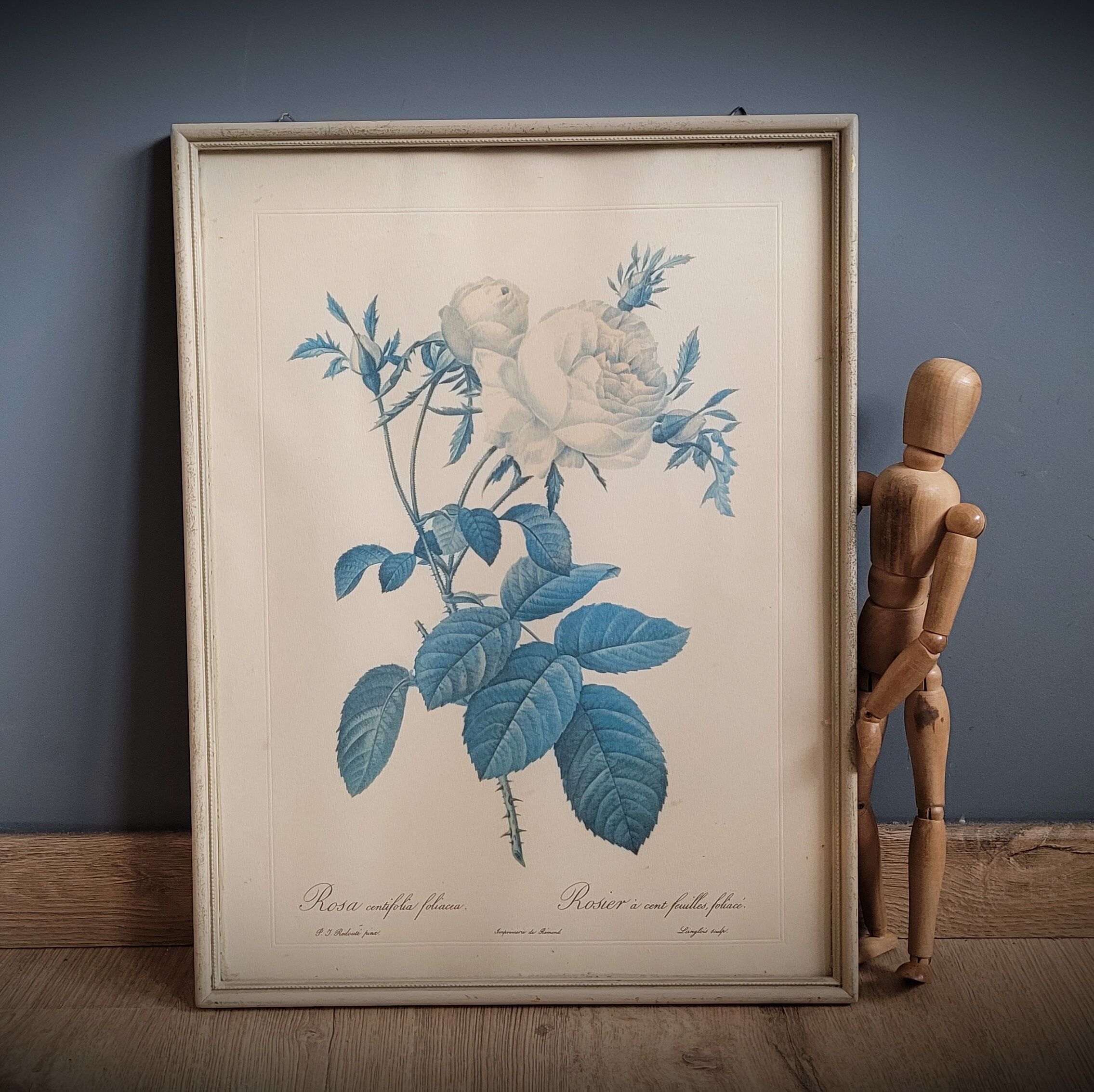 Frame illustration rose one hundred leaves foliaceous