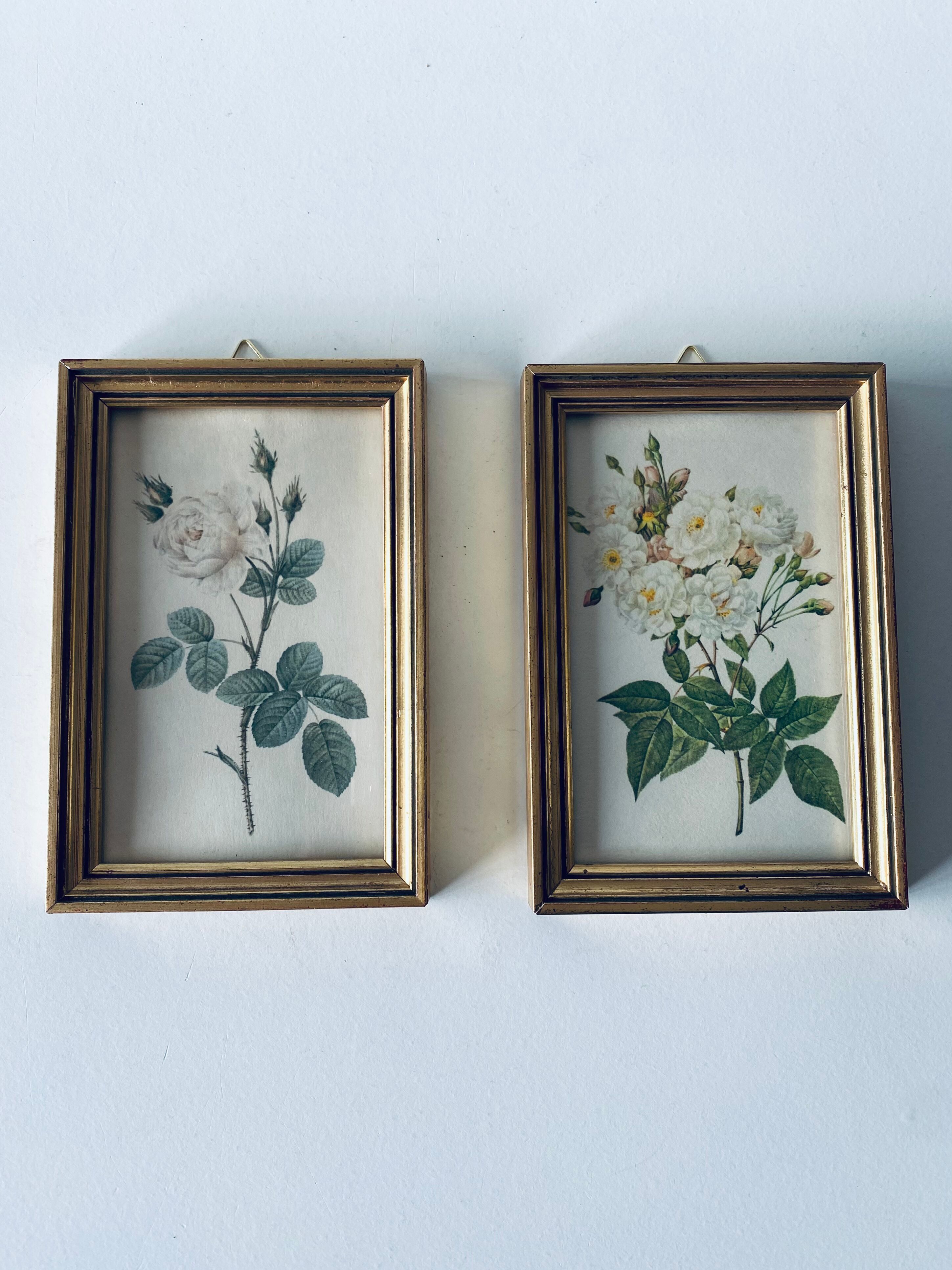 Duo of framed lithographs