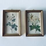 Duo of framed lithographs