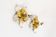 Set of two medium size painted Italian Florentine wall lights