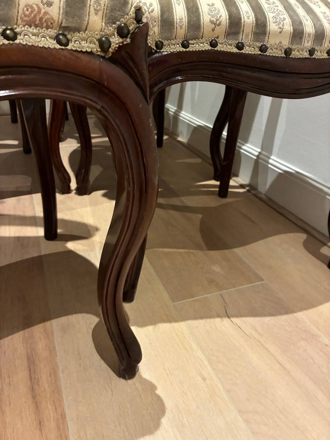 6 chairs mahony victorian chair