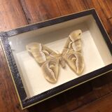 Naturalized butterfly frame