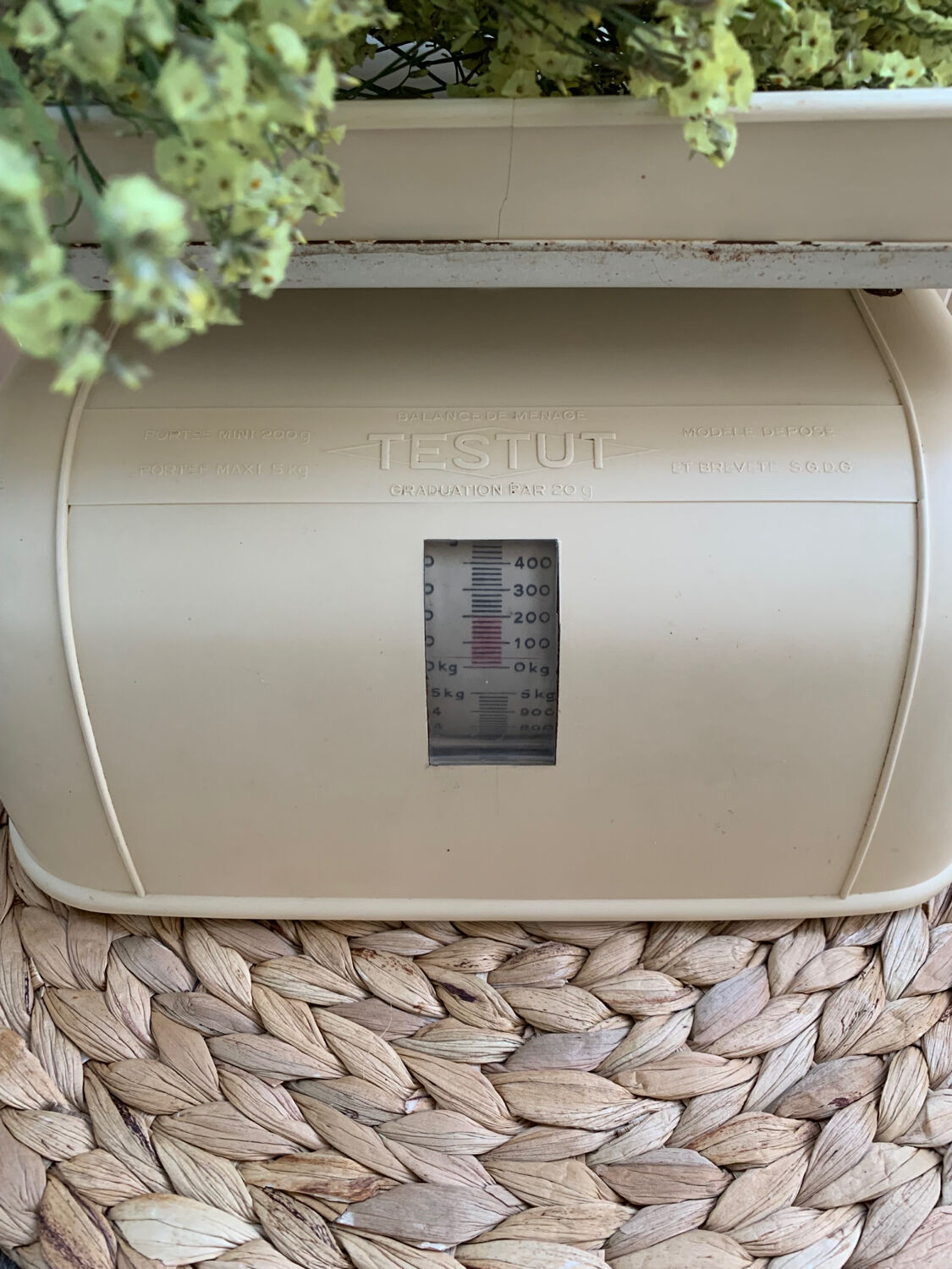 Testut household balance