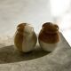 Ceramic salt and pepper shaker set