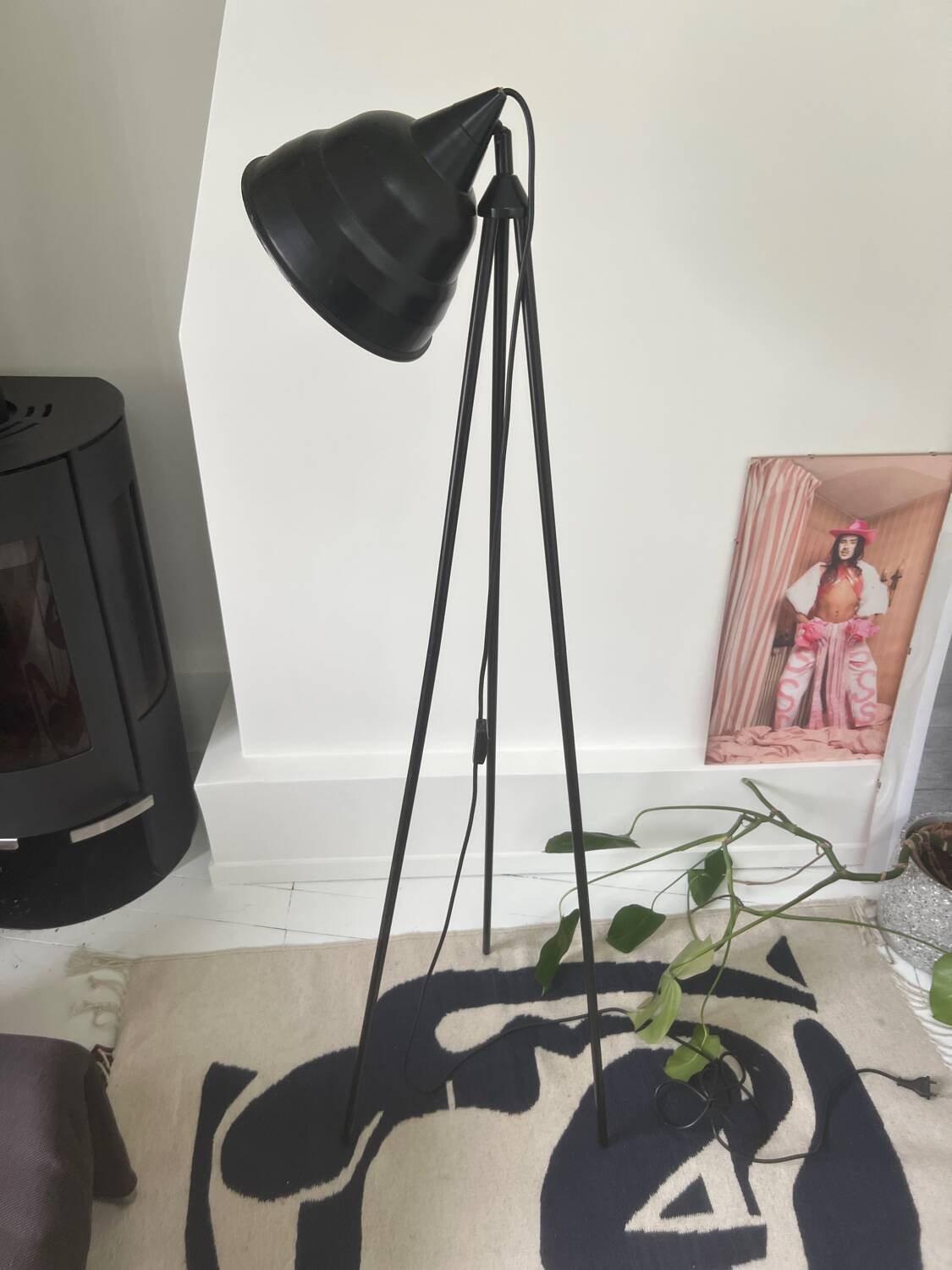 Habitat photographic floor lamp