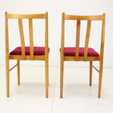 Ensemble de quatre chaises de salle à manger des années 1970, Tchécoslovaquie