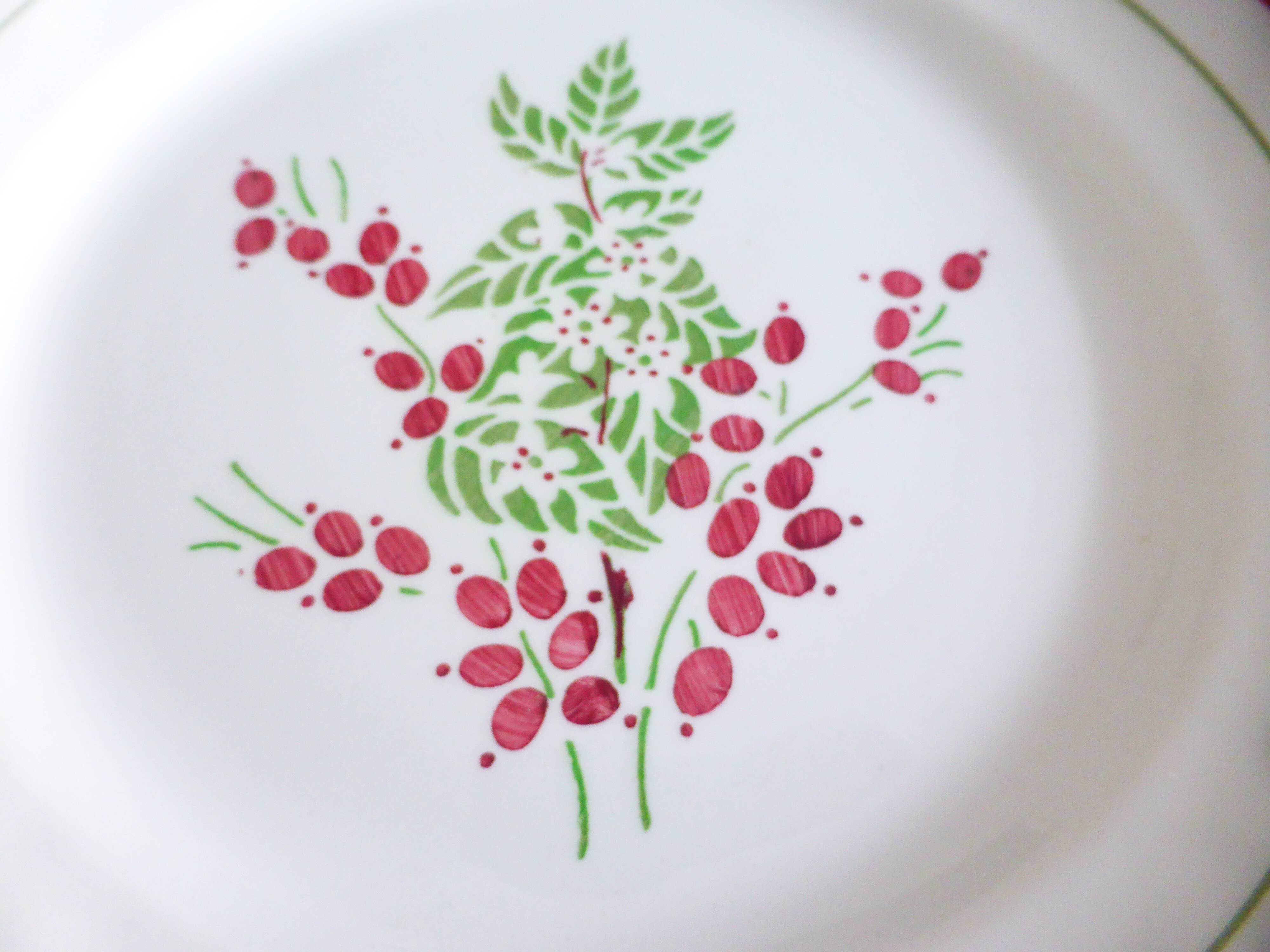 1 red and green flat plate 221238