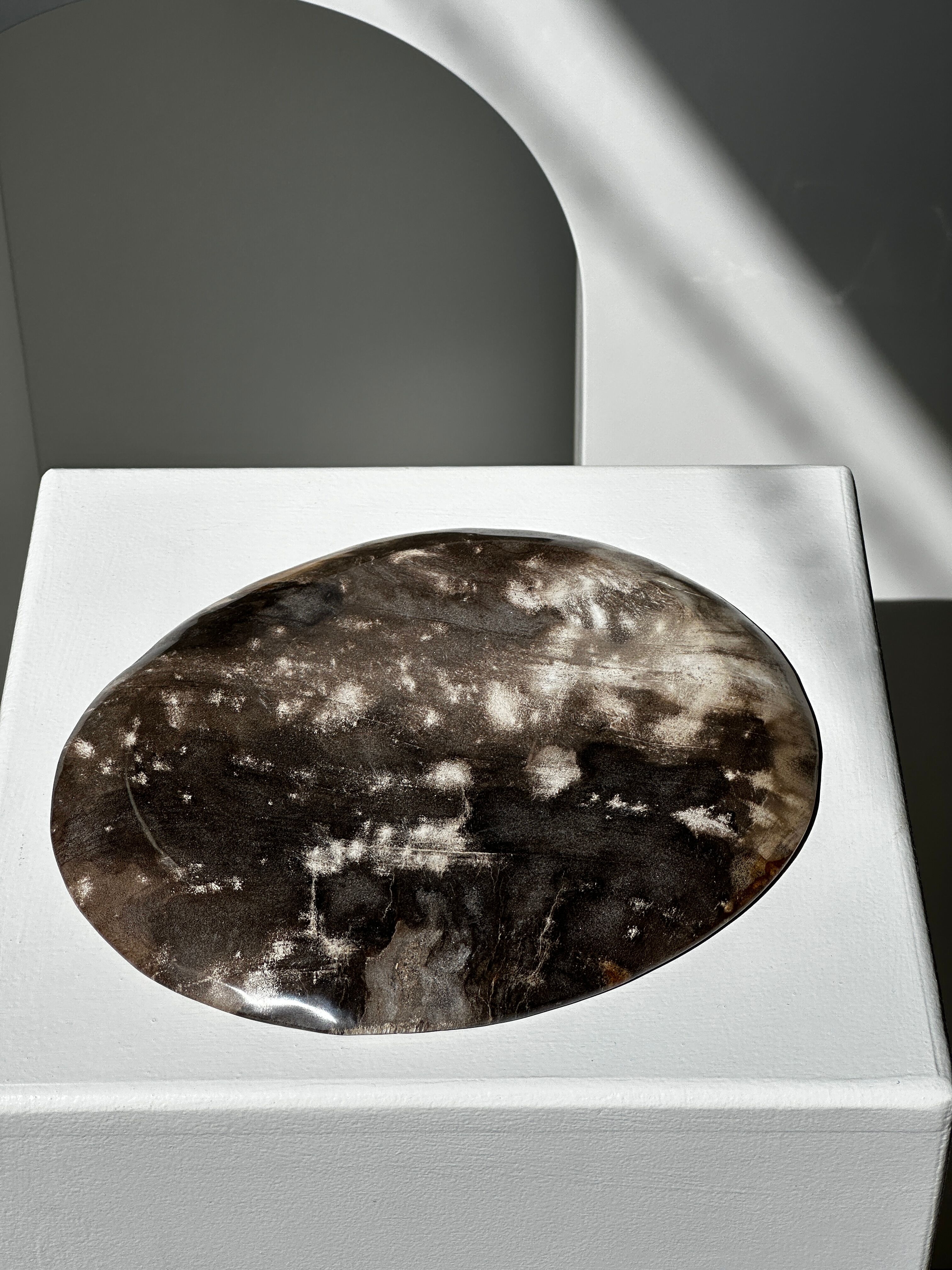 Dish in petrified wood