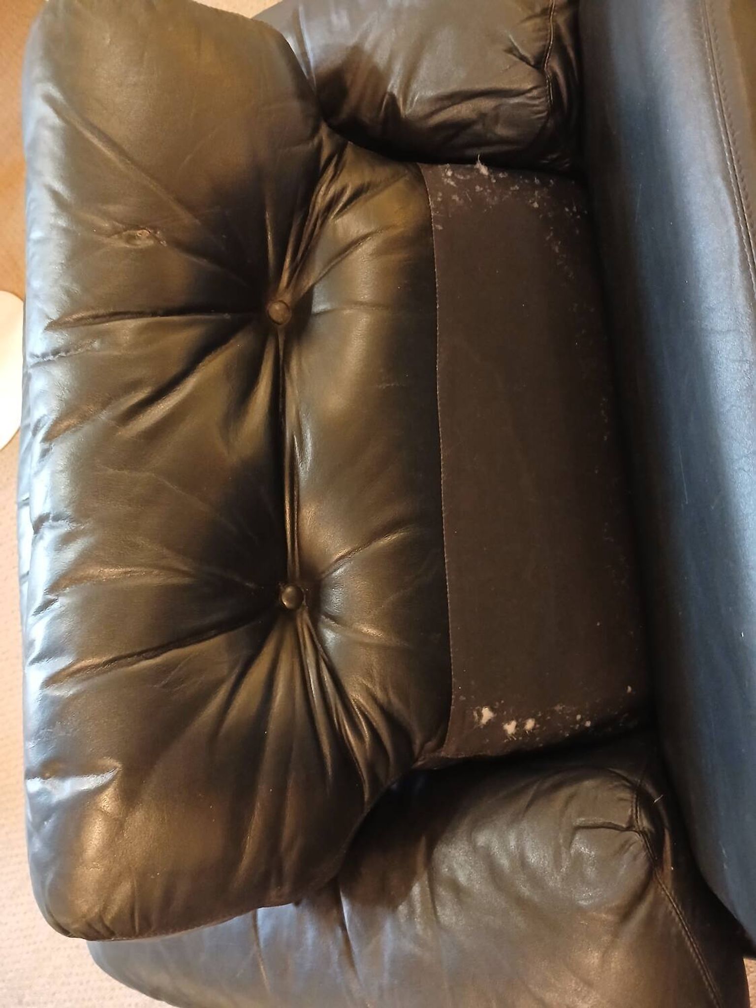 Paire fauteuils cuir design Tobia Scarpa