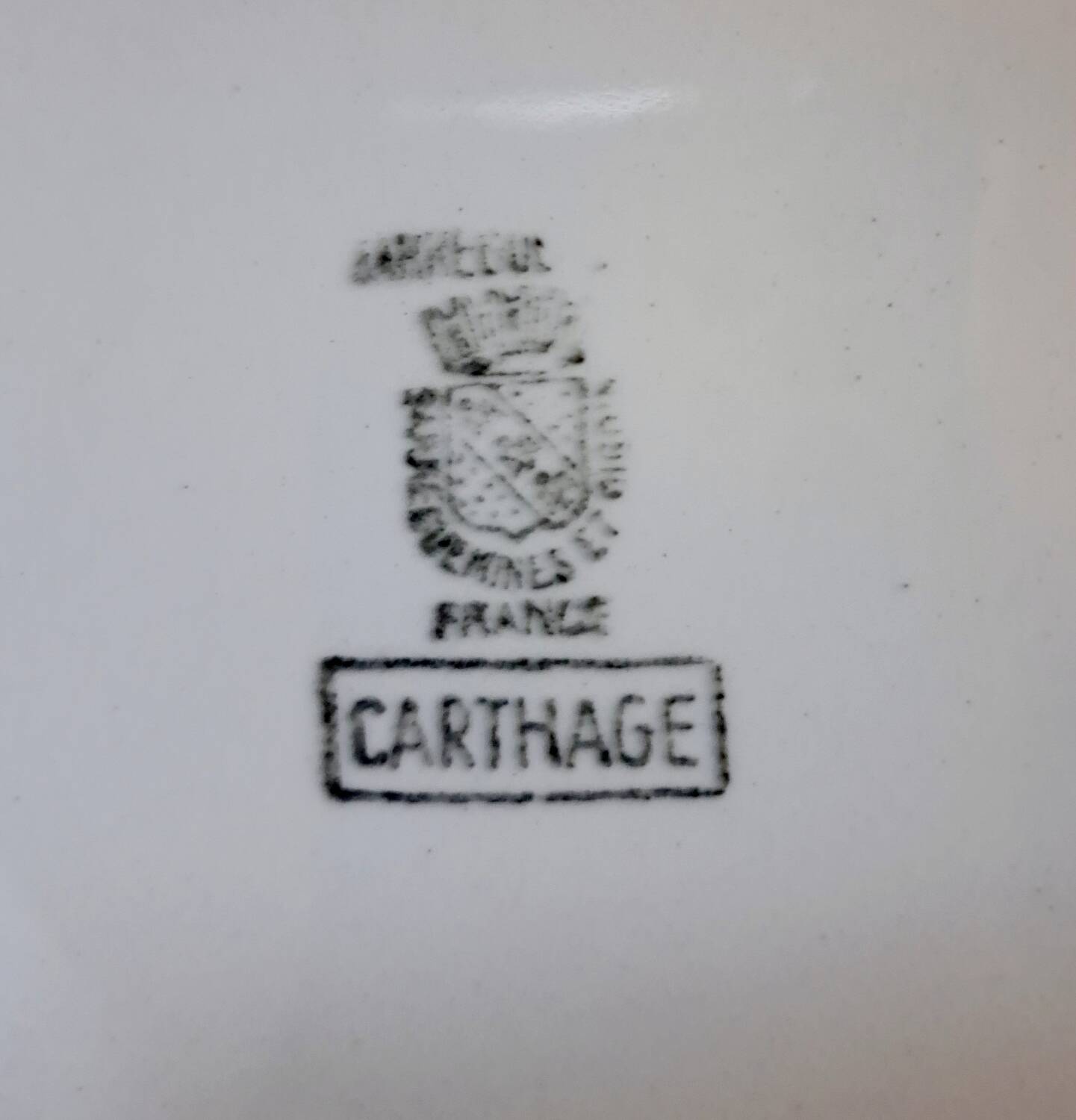 Suite of 11 plates and tureen Digoin Saarguemines