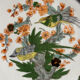 Shallow porcelain dish from Limoges Raynaud, bird decoration.