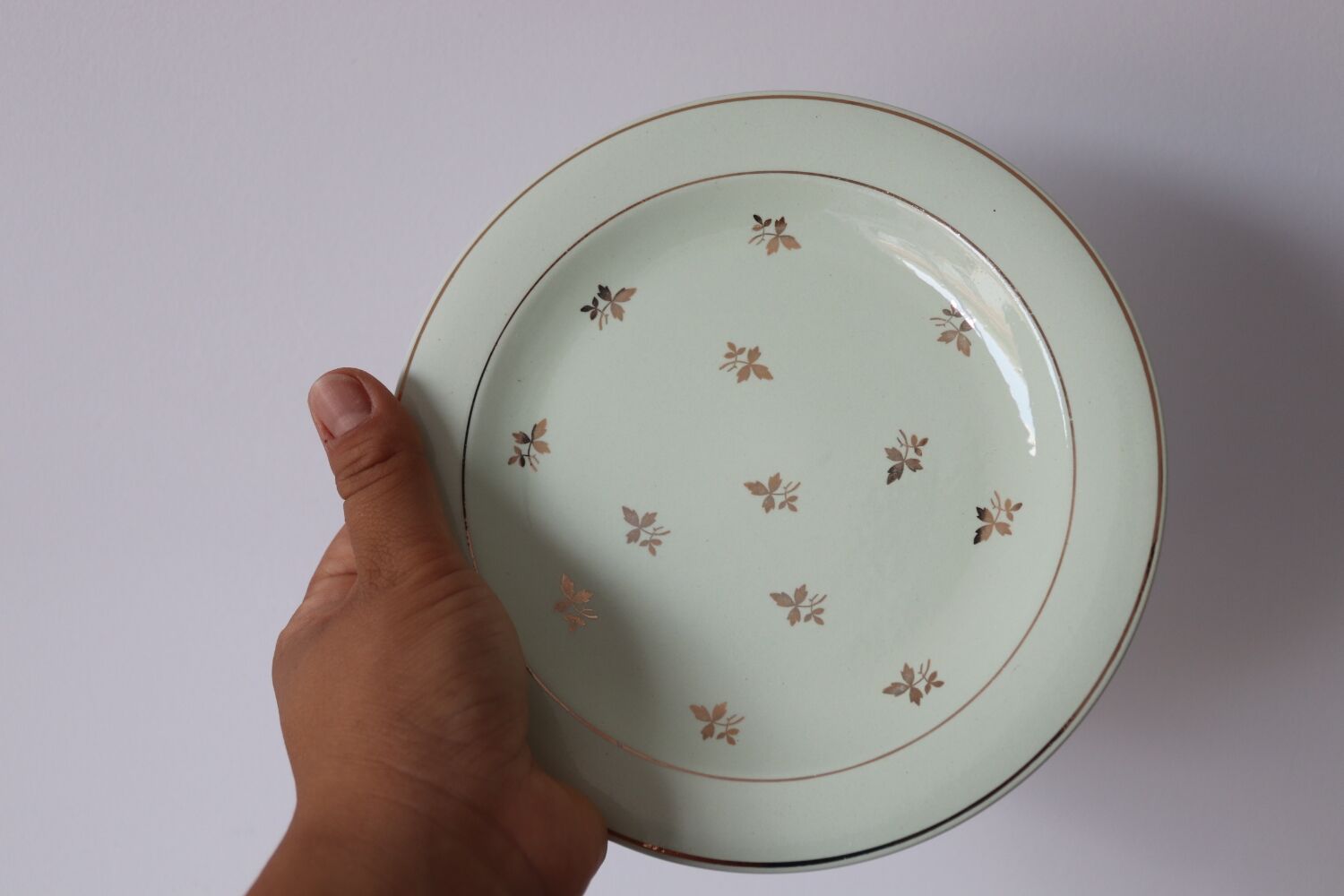 11 assiettes à dessert mint salins