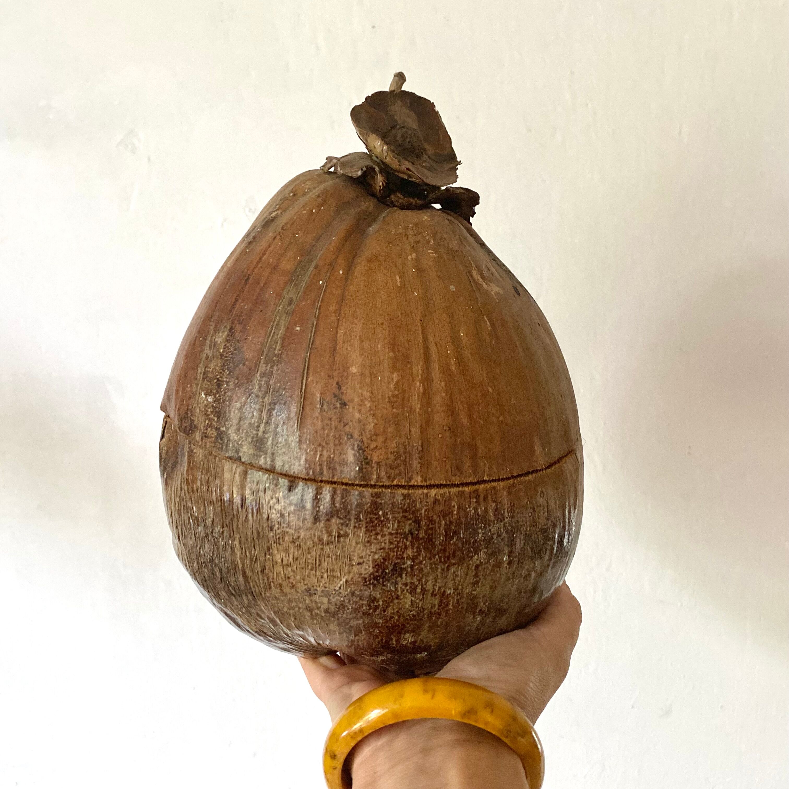 Coconut ice bucket