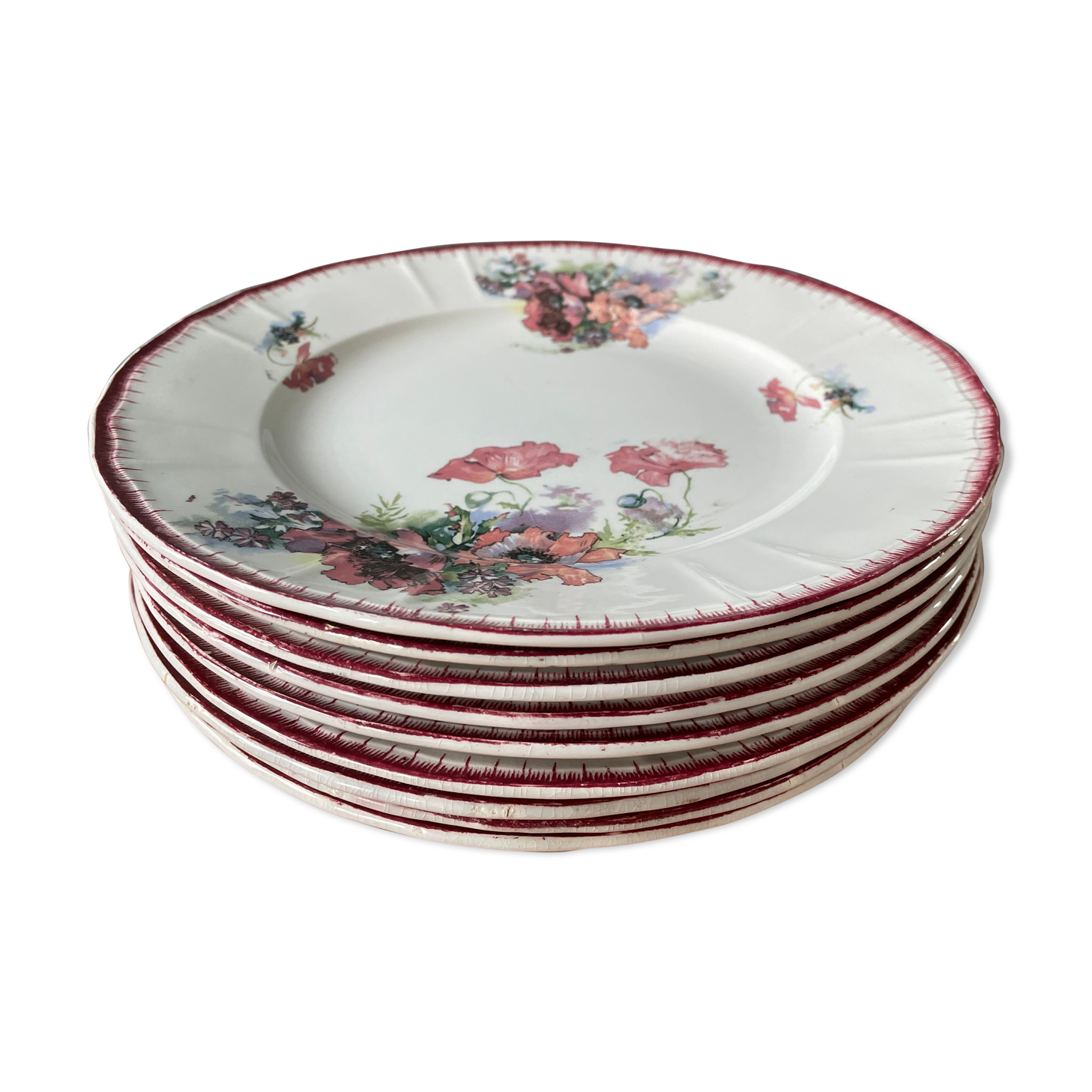 Lot de 9 assiettes plates Terre de Fer modèle « Pavots » St Amand & Hamage Nord