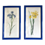 Pair of botanical frames