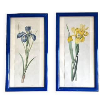 Pair of botanical frames