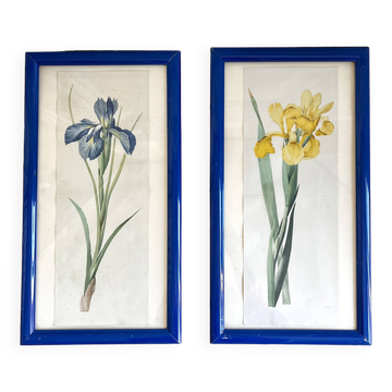 Pair of botanical frames