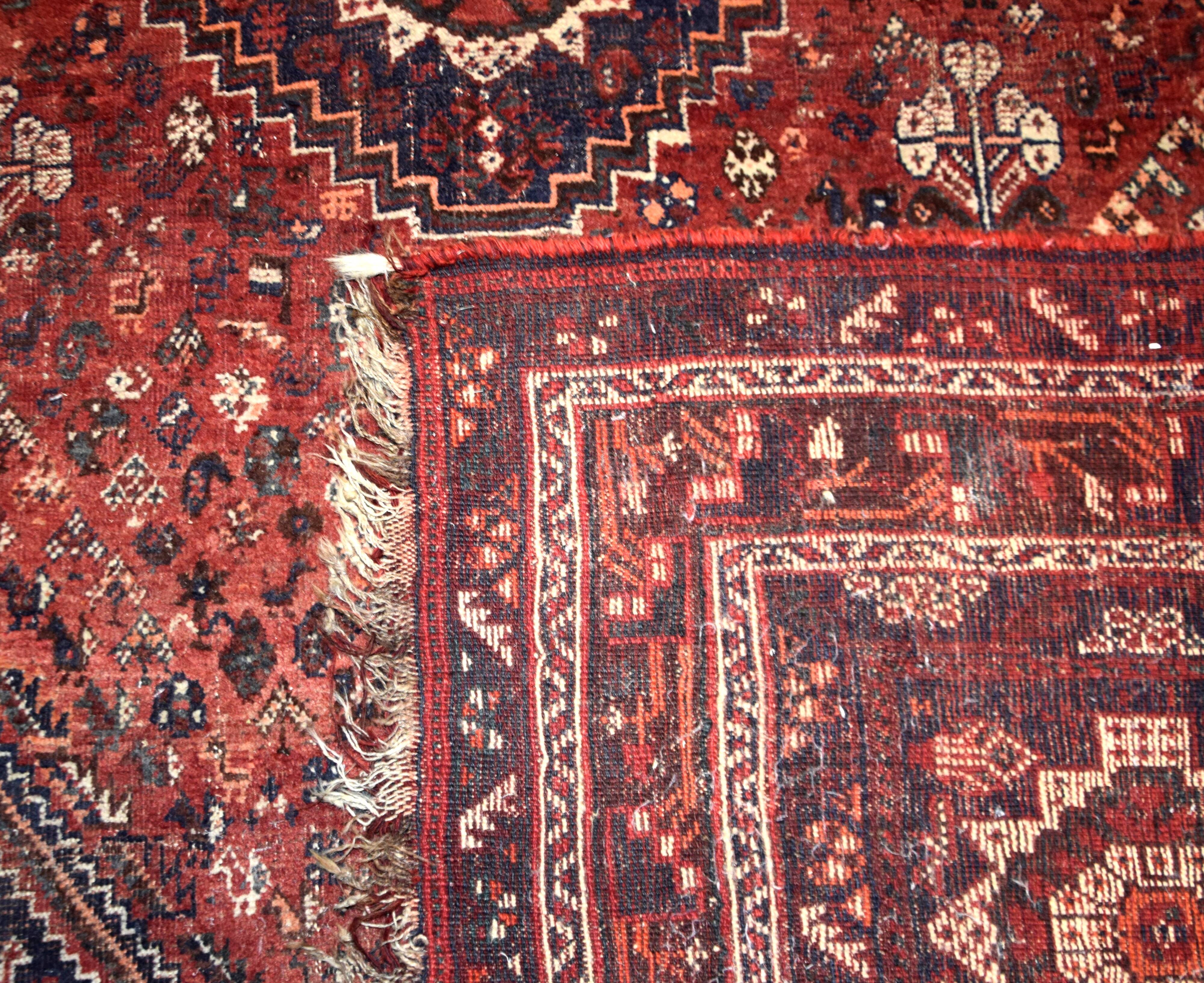 Oriental carpet Iran Shiraz, Gashghaï: 230 x 310 cm