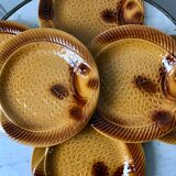Set of 6 plates in slurry model fish 60s