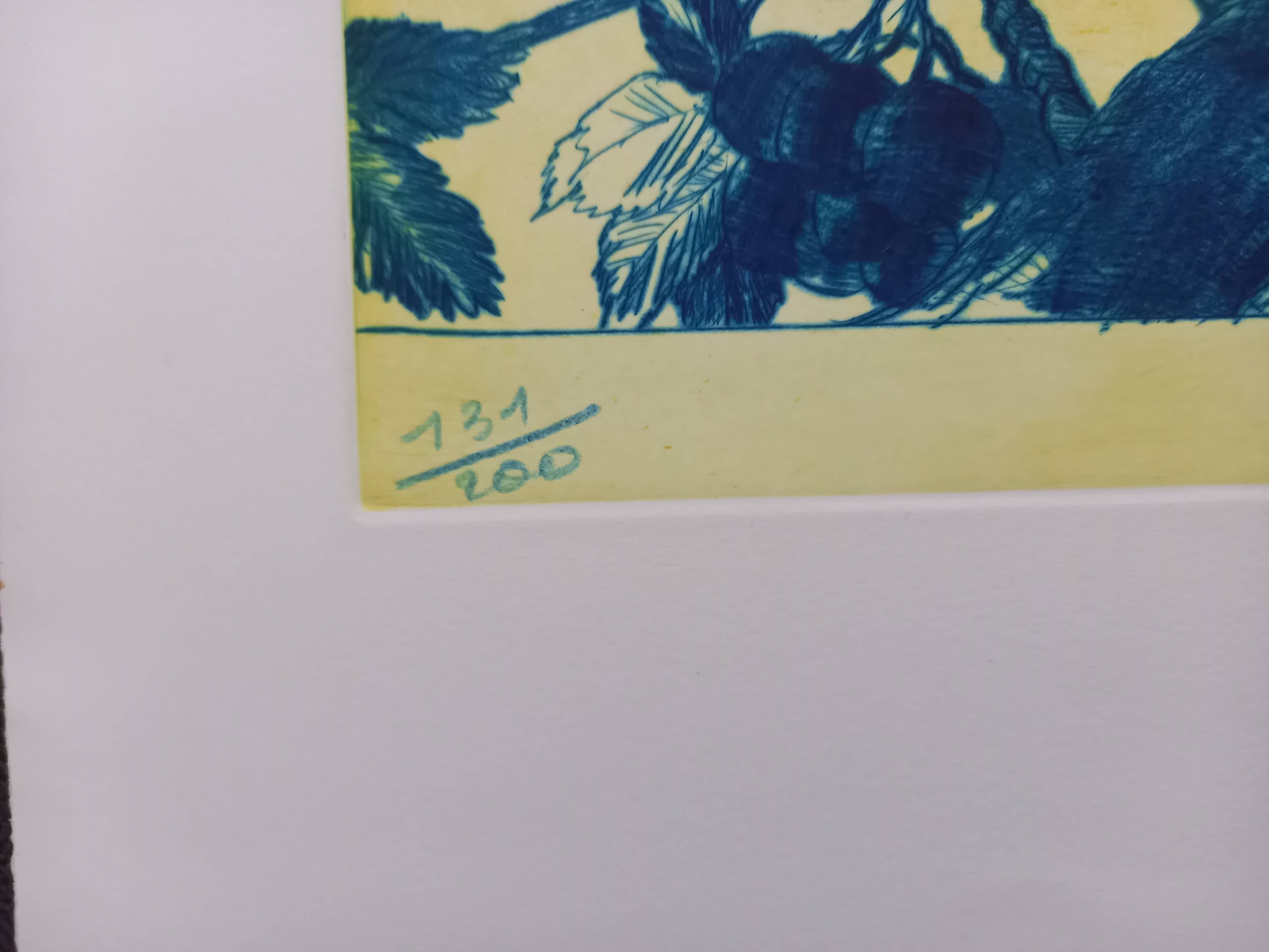 Original lithograph by Gérard Diaz (1938-2021), "la vigne, le raisin, le vin", 1999.