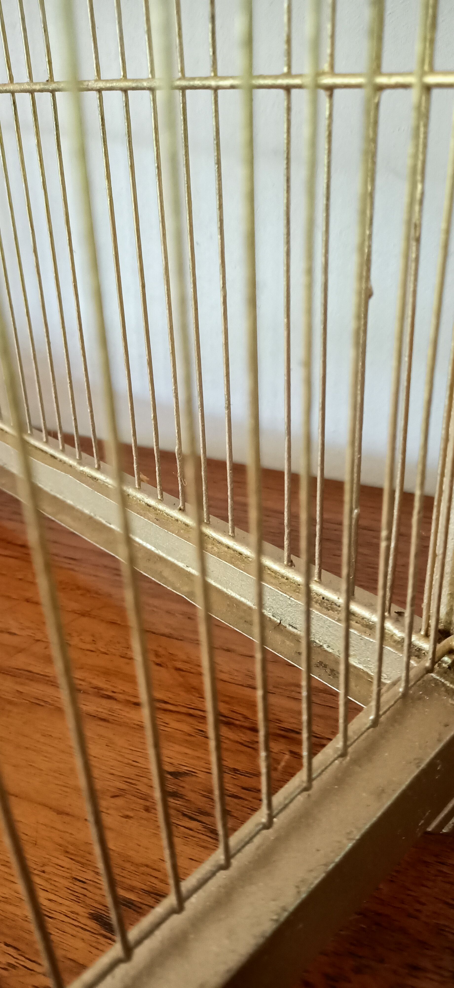 Old bird cage