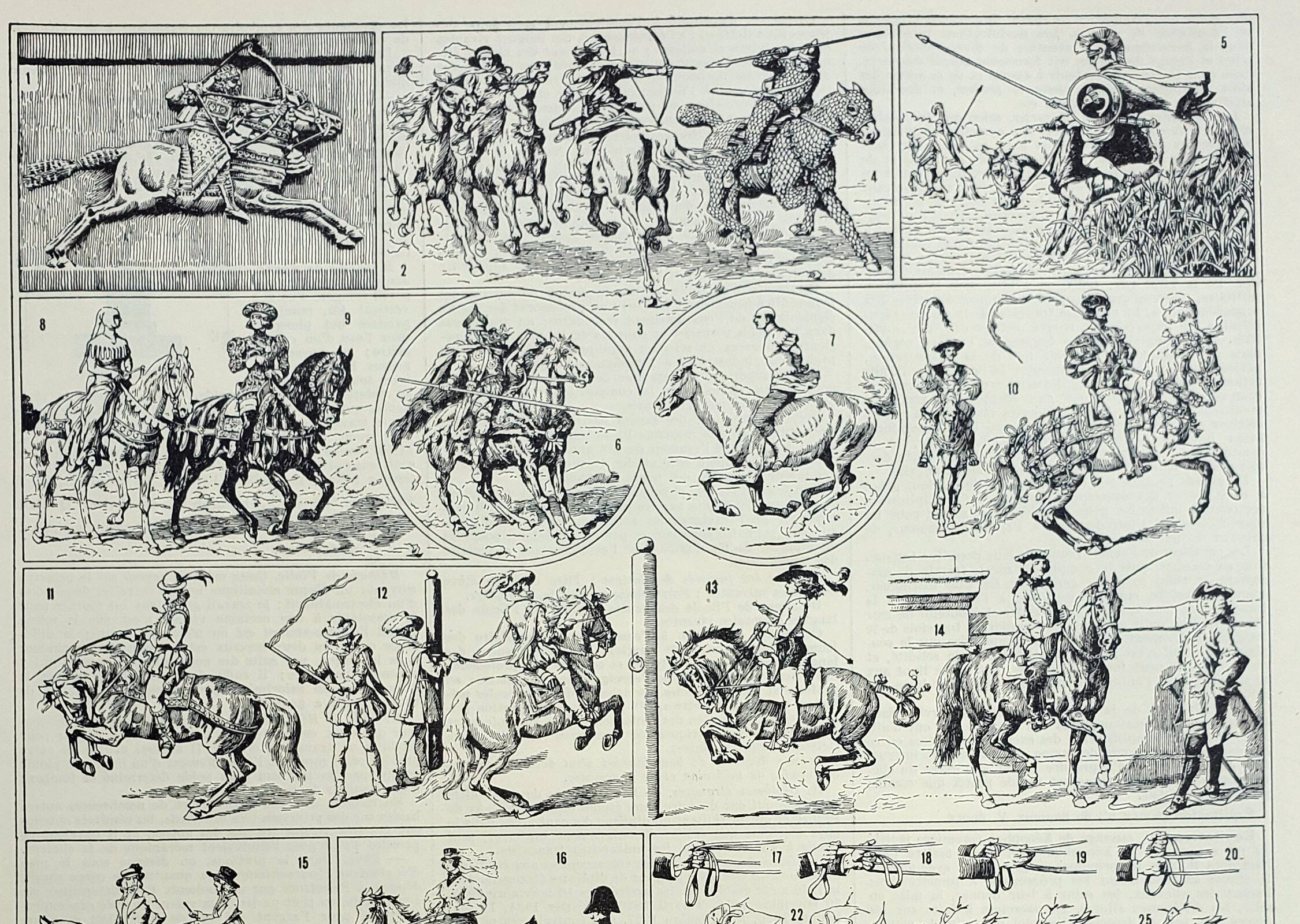 Old engraving 1928, Horse riding, horse, equestrian, equestrian • Lithograph, Original plate