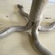 Wrought iron tree candelabra chandelier