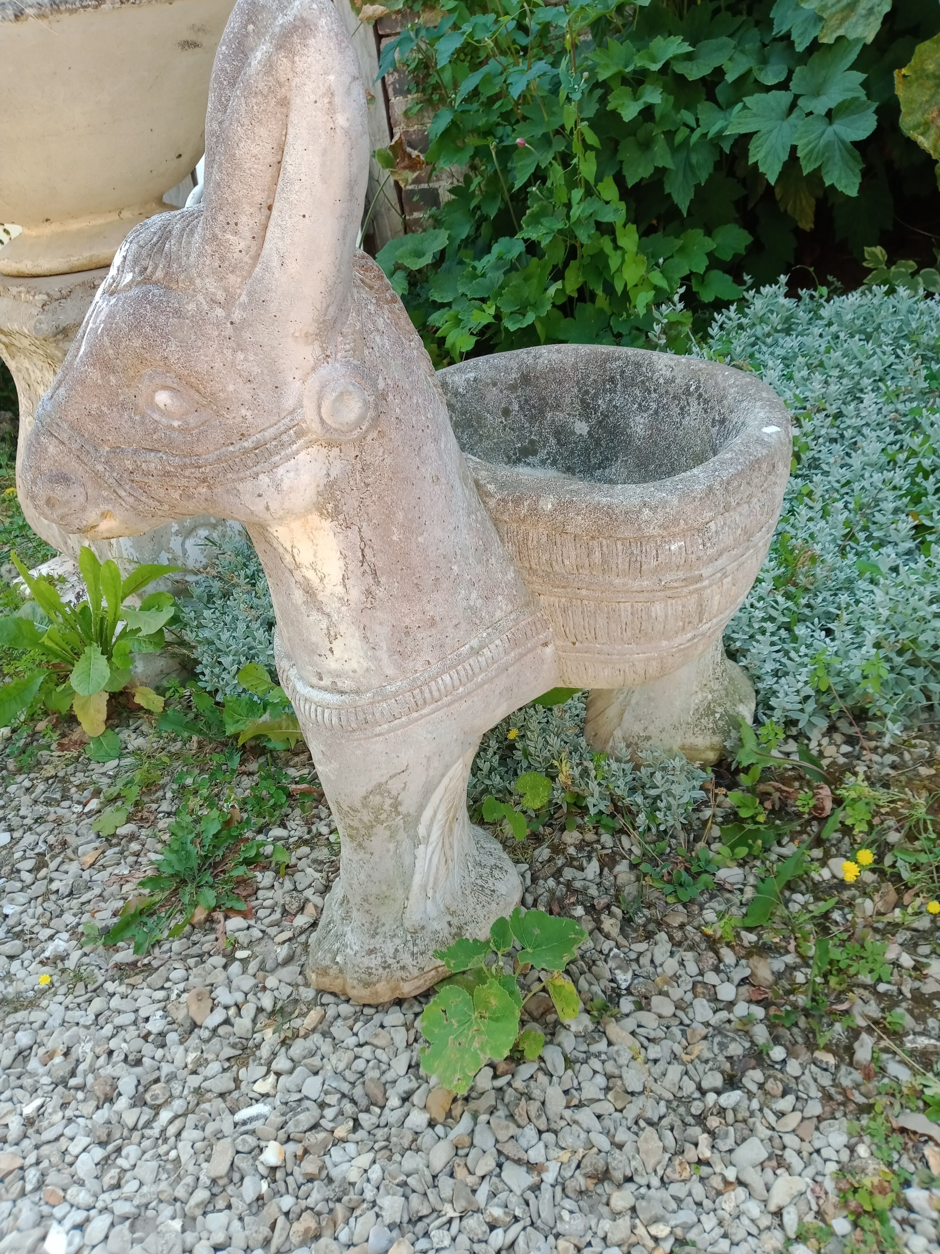 Cement donkey planter