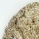 Mid-Century Modern Murano Glass & Brass Wall Light from Kaiser, 1960s