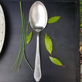 Sauce or dish spoon