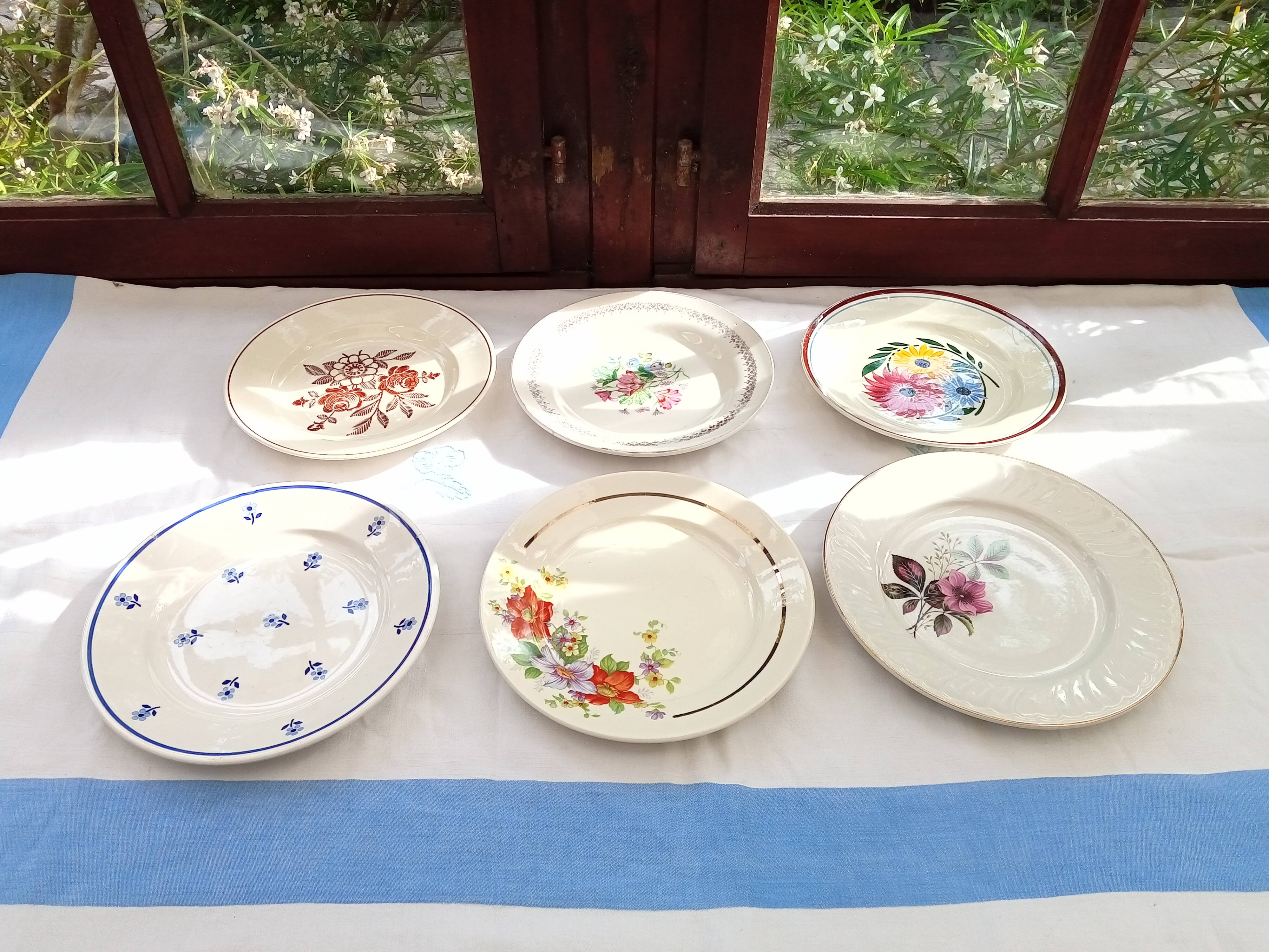 Assorted 6 flower plates