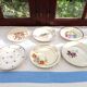 Assortiment de 6 assiettes fleuries