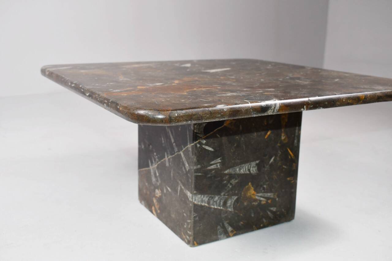 Petite table basse vintage fossilisée, années 1970
