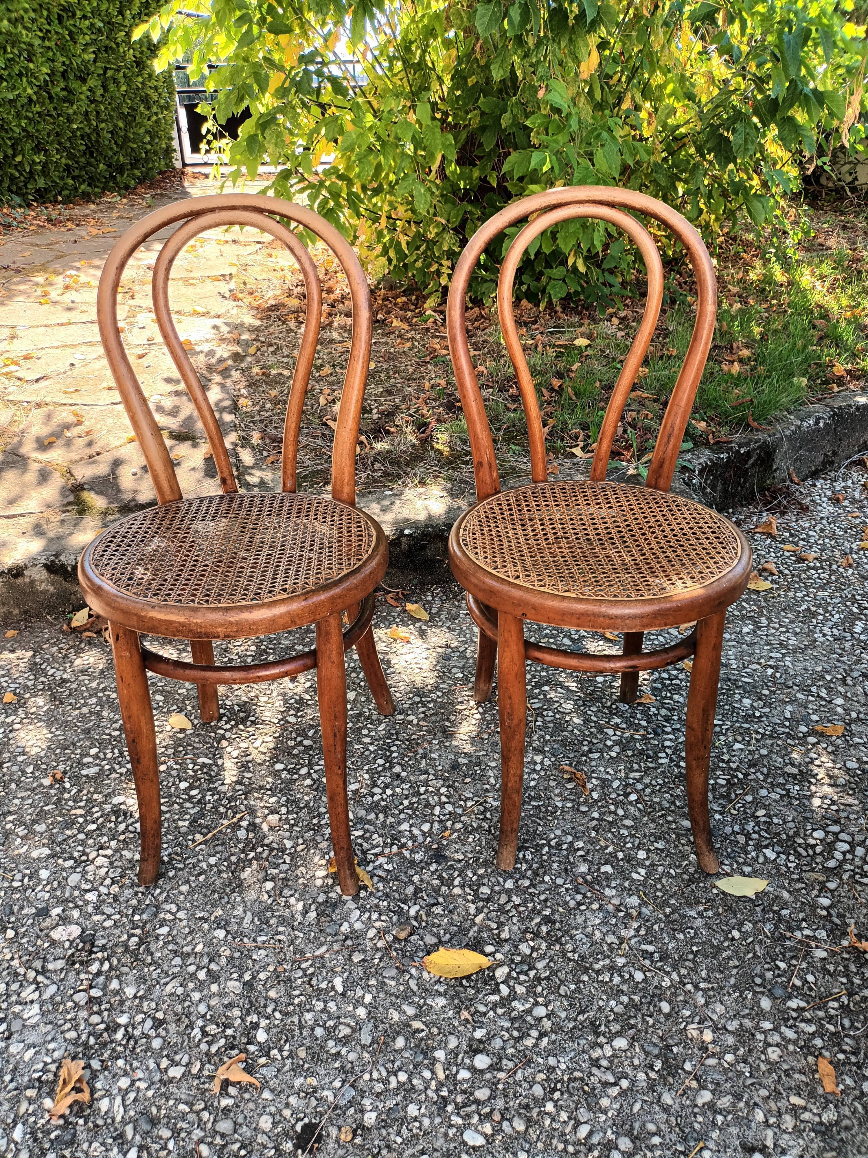 Canned chairs Thonet