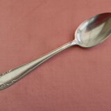 Set of 6 teaspoons in silver metal.