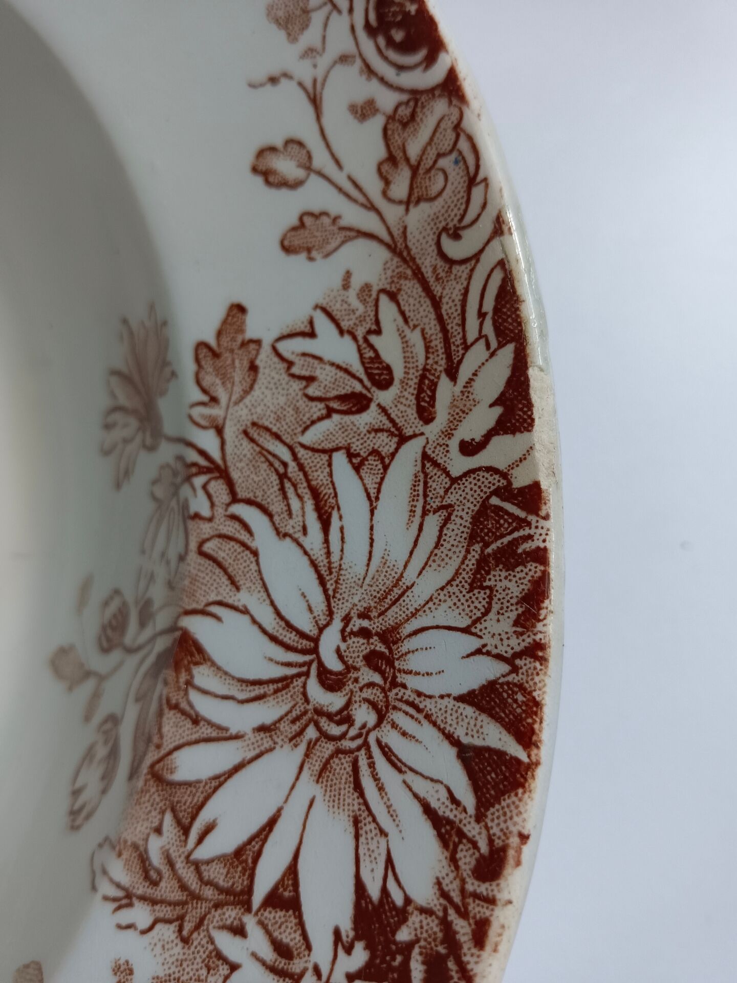 Large deep plate Terre de fer Gien Autumn