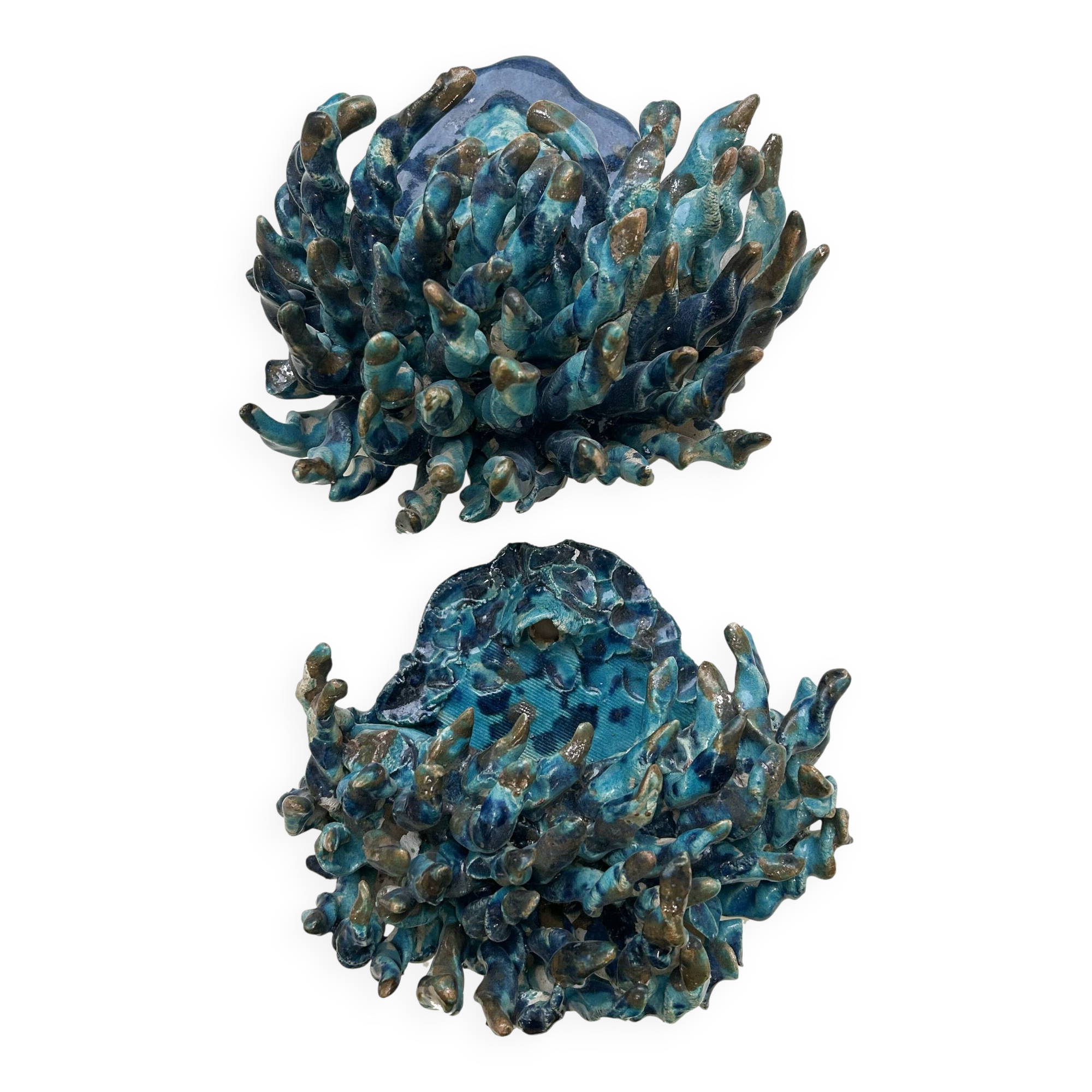 Neptune's Claws, a pair of wall lights by the Portuguese artist Clara Rêgo.