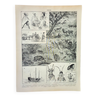 Gravure ancienne 1898, Chine: faune, flore, tribu • Lithographie, Planche originale