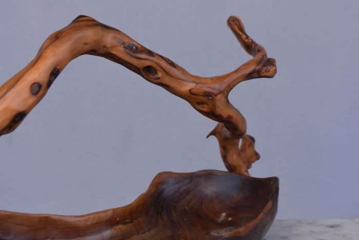 Fruit basket in olive tree sculpture Brutaliste