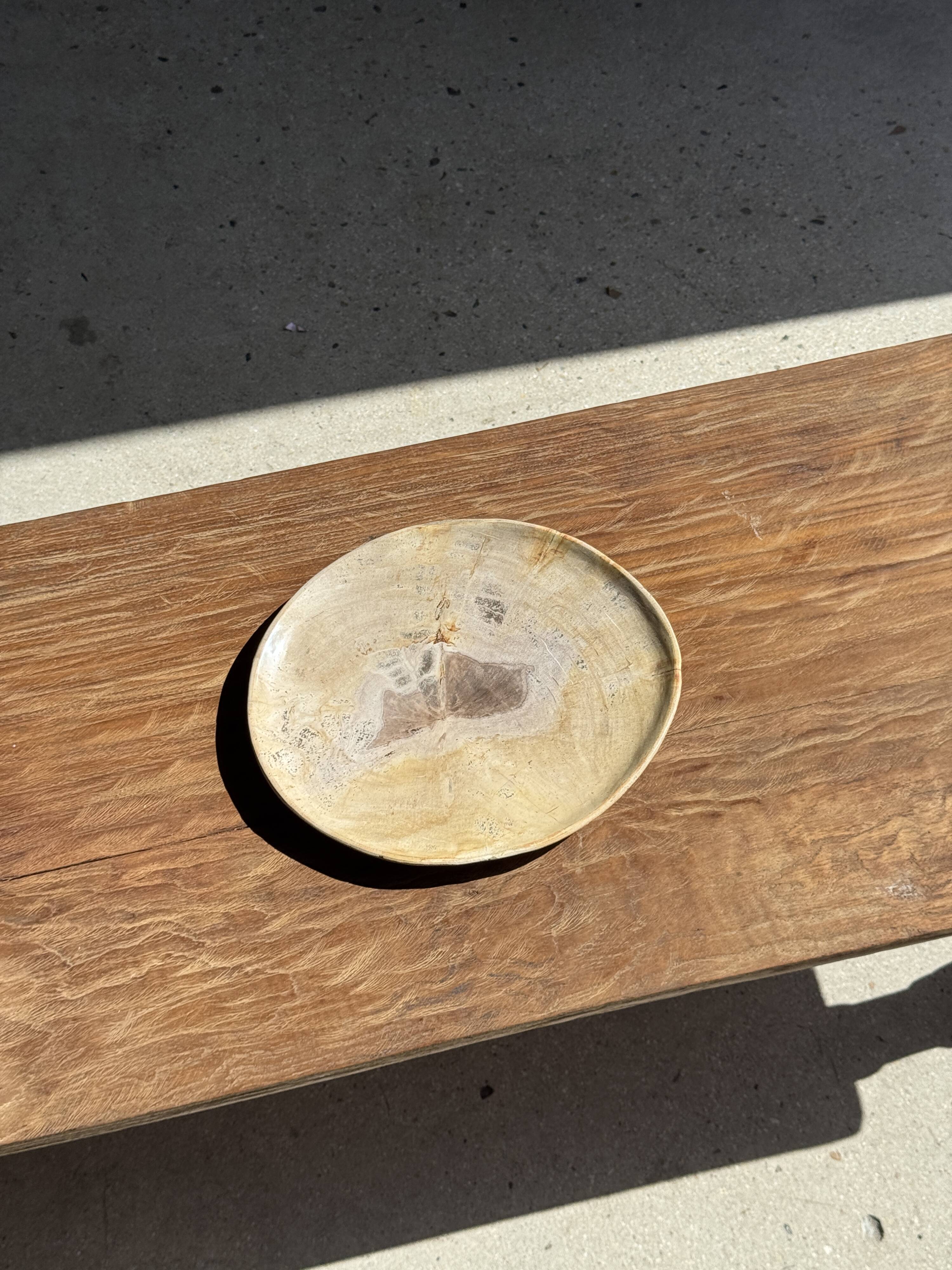 Petrified wood catchall or dish, beige with a brown spot in the centre, D24-27 -377.