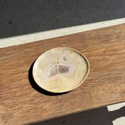 Petrified wood catchall or dish, beige with a brown spot in the centre, D24-27 -377.