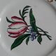 Dessert plates in Sarreguemines earthenware, floral decoration, early XX -th century