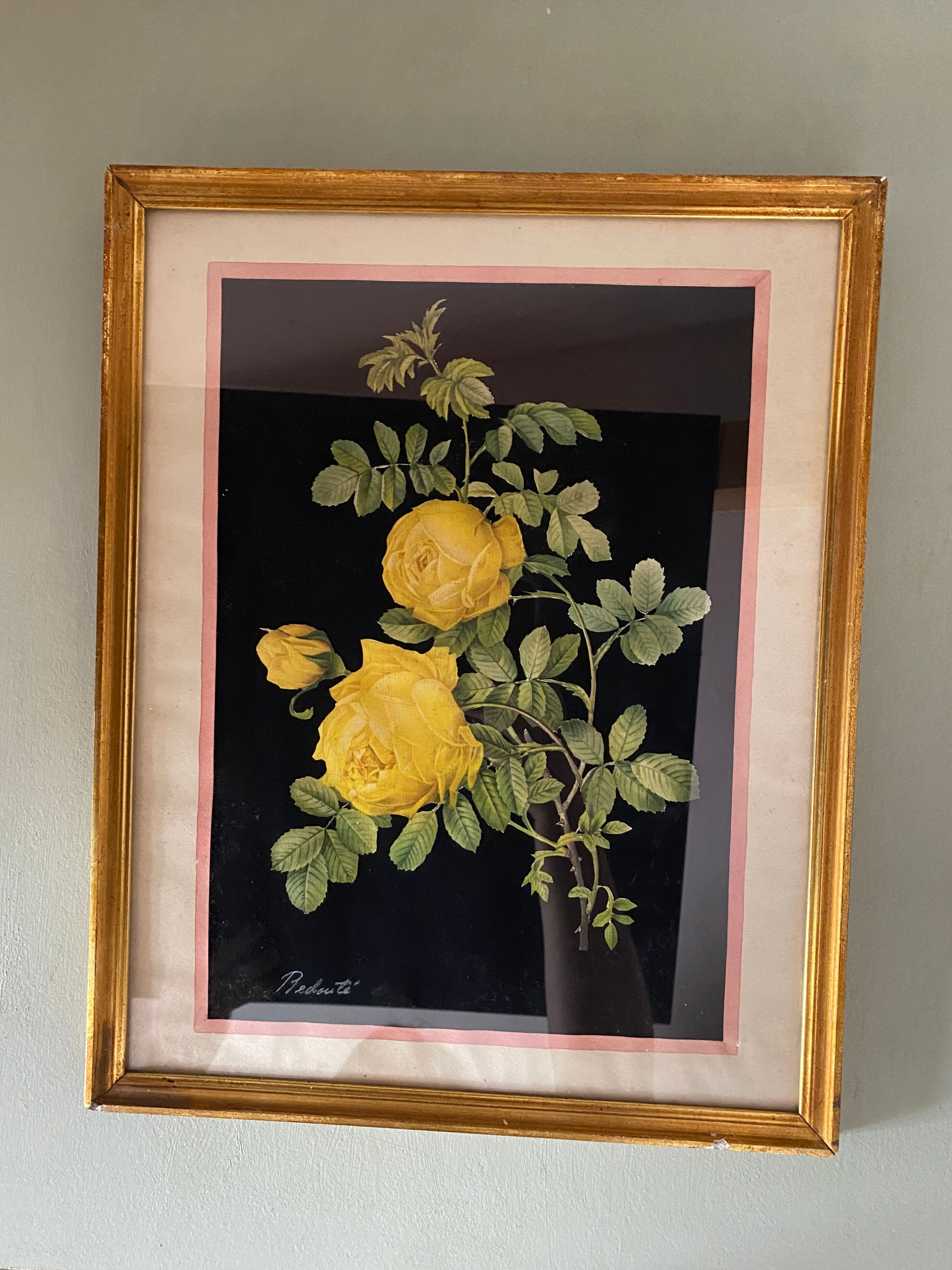 Framed poster vintage pinks yellow feared