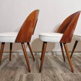 Dining Chairs by Antonin Suman, 1960s, Set of 4