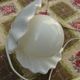 Ceramic and opaline shell lamp France 1970