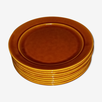 Earthenware plate