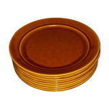Earthenware plate