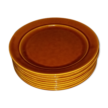 Earthenware plate