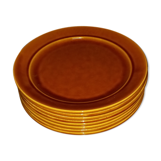 Earthenware plate